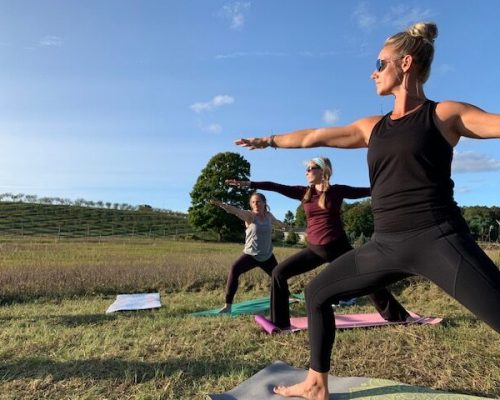 Yoga retreat in leelanau county